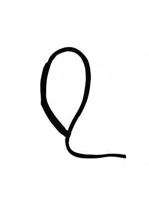 wristcord